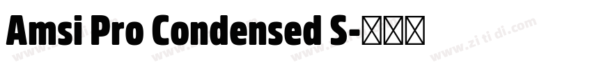 Amsi Pro Condensed S字体转换